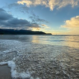 Meet your Posher, Evelyn